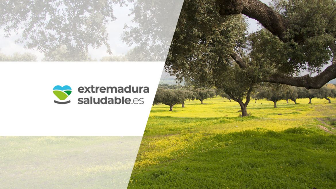 Extremadura Saludable