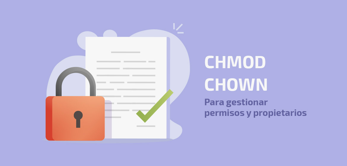 Gestiona permisos en tu servidor con chmod y chown