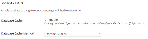 Apartado Database Cache en la configuración de W3 Total Cache