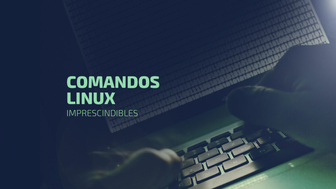 15 Comandos Linux Que Te Facilitarán La Vida - El Blog De Dinahosting