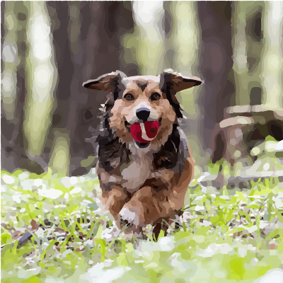 perro con pelota en SVG