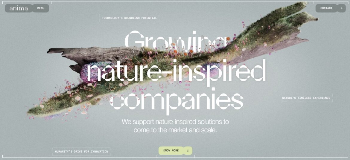 anima.ai