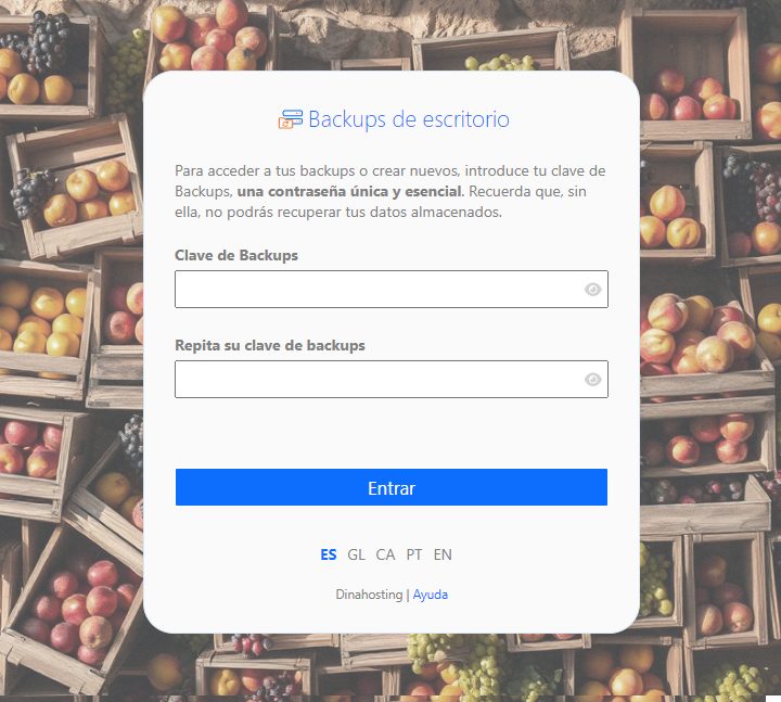 Aplicación de Backups S3 dinahosting - Credenciales