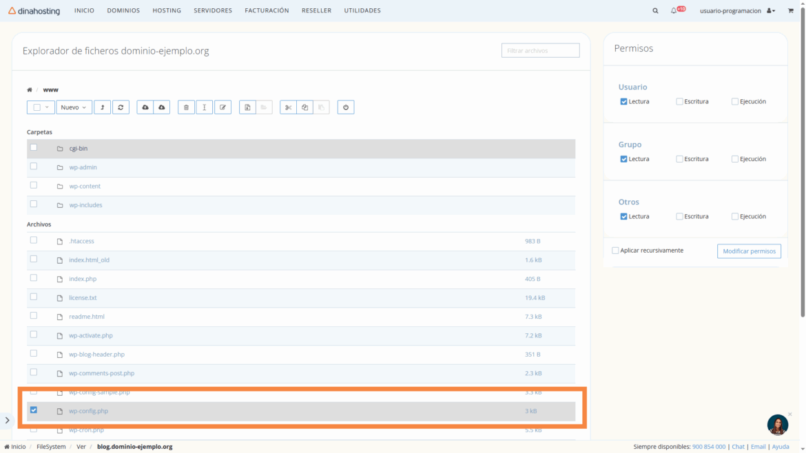 Explorador de archivos del Panel de Control de dinahosting
