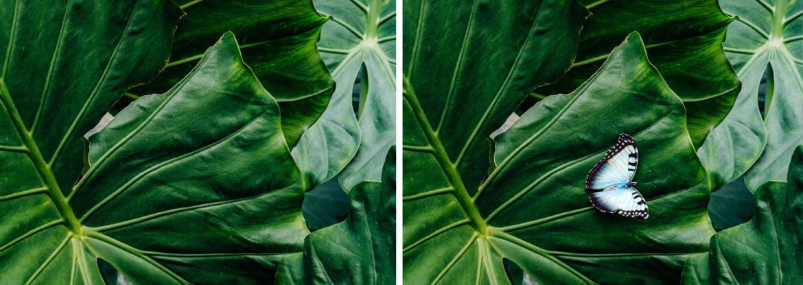 Añadir obejtos con IA