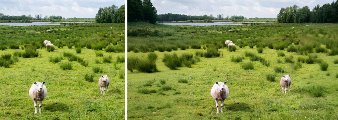 Imagen con bordes extendidos