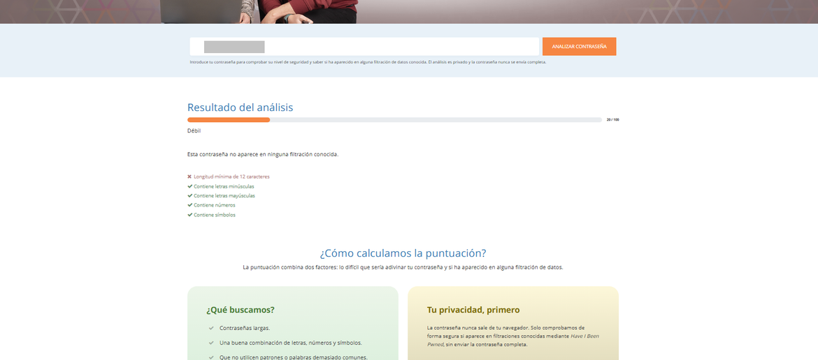 Analizador de contraseñas dinahosting